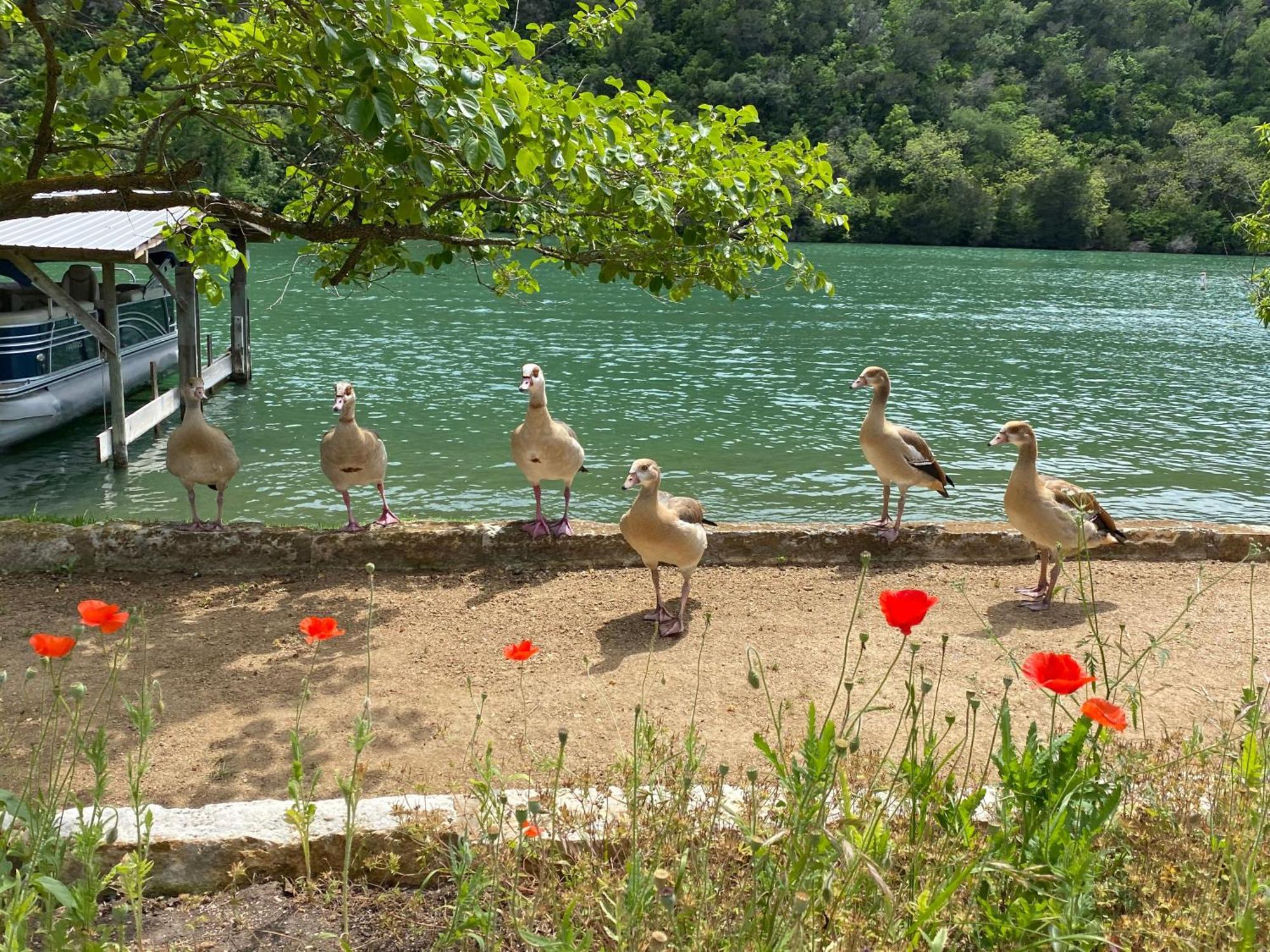 Lake Austin Spa Resort Esterno foto